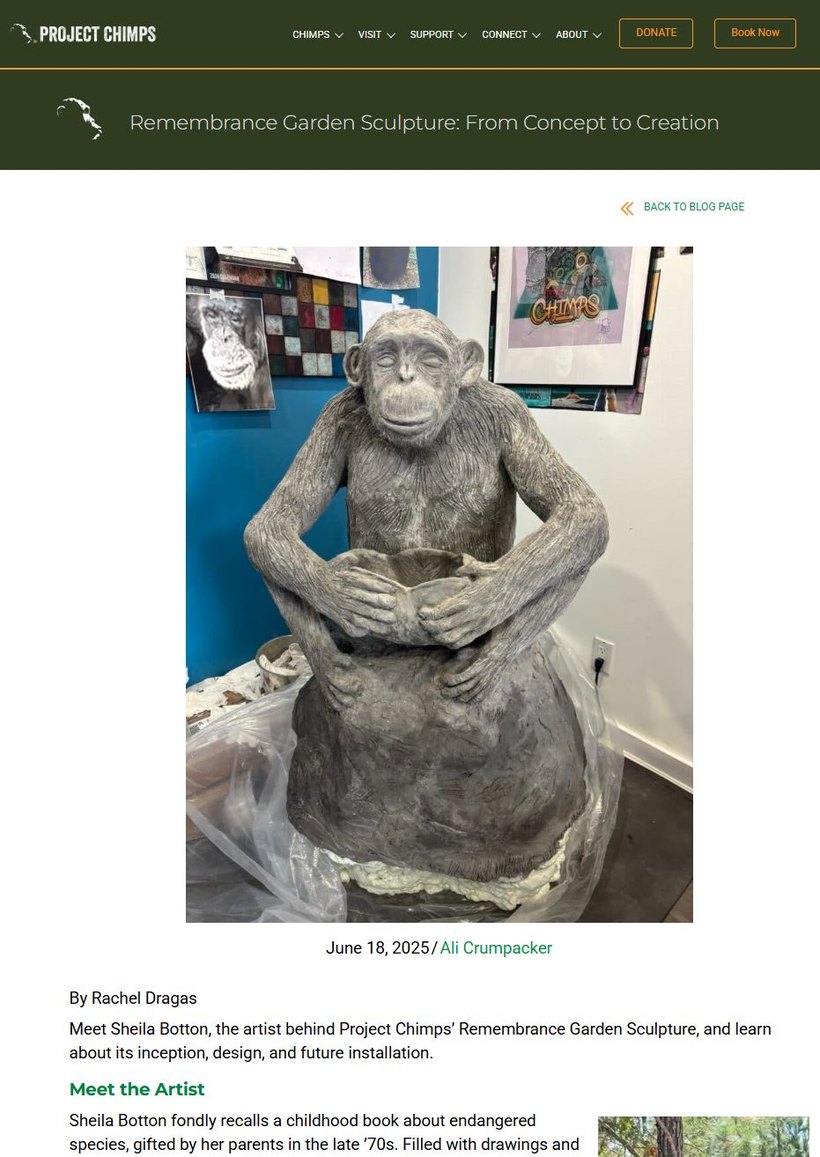 Project Chimps article by Rachel Dragas, Remembrance Garden Sculpture: From Concept to Creation